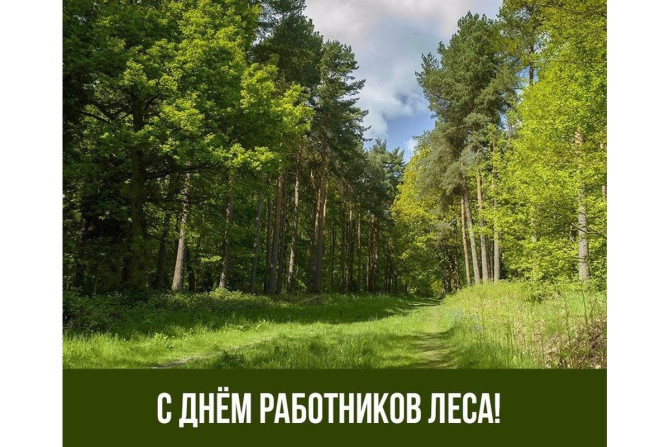 Поздравление руководства Ивановского райисполкома с Днем работников леса!